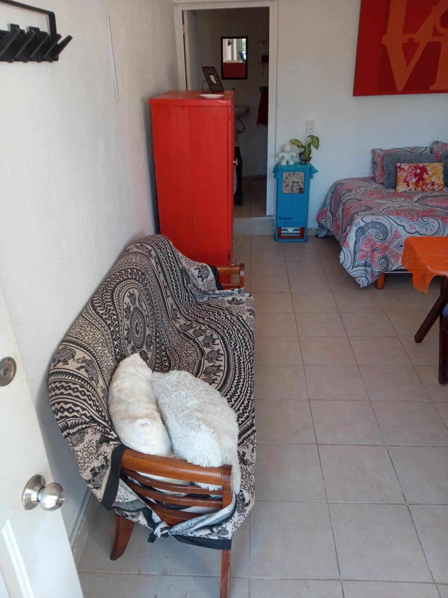 Estudio Quetzales Cancun Dış mekan fotoğraf
